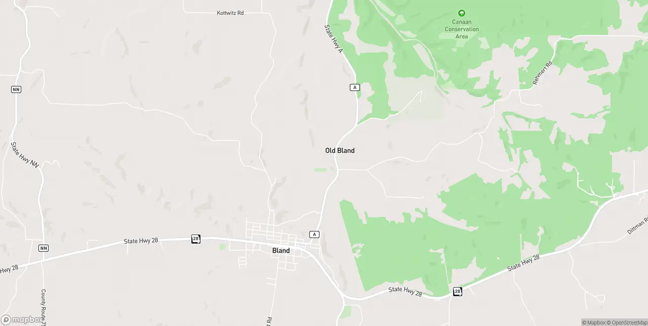 Internet in Bland