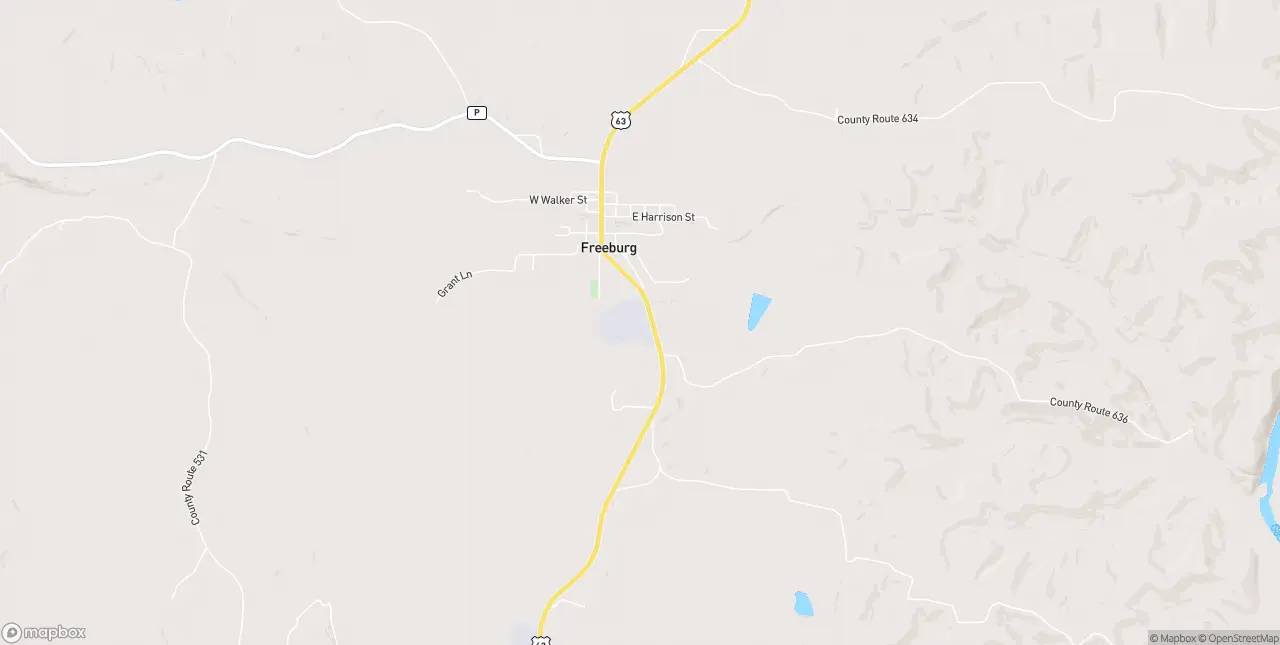 Internet in Freeburg