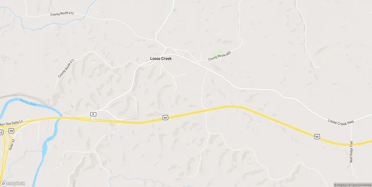 Internet in Loose Creek