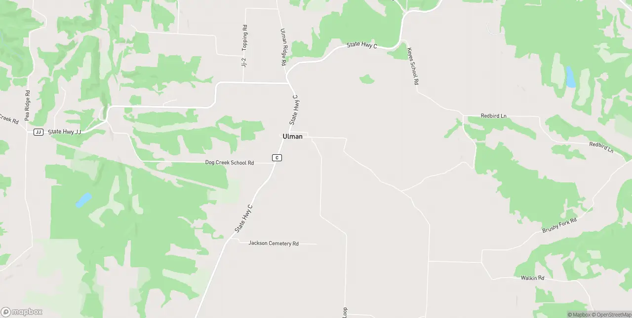Internet in Ulman