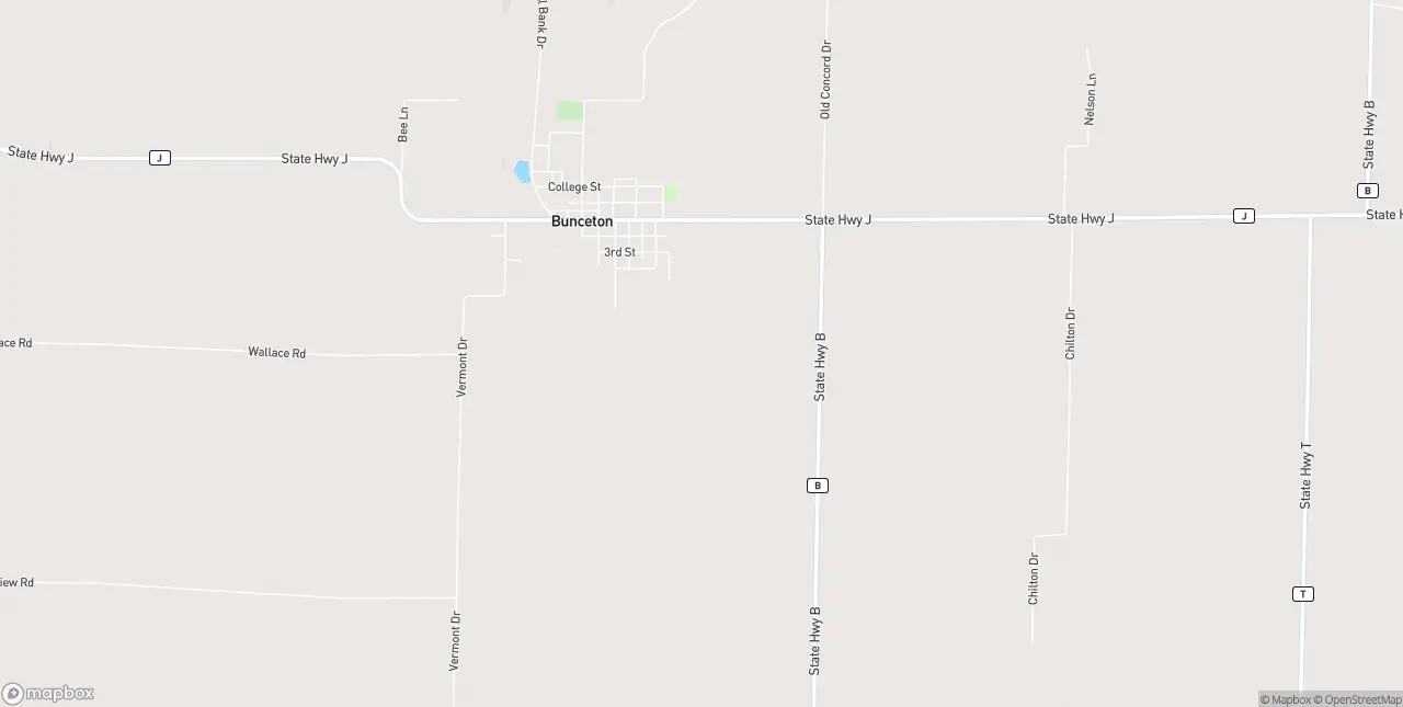 Internet in Bunceton