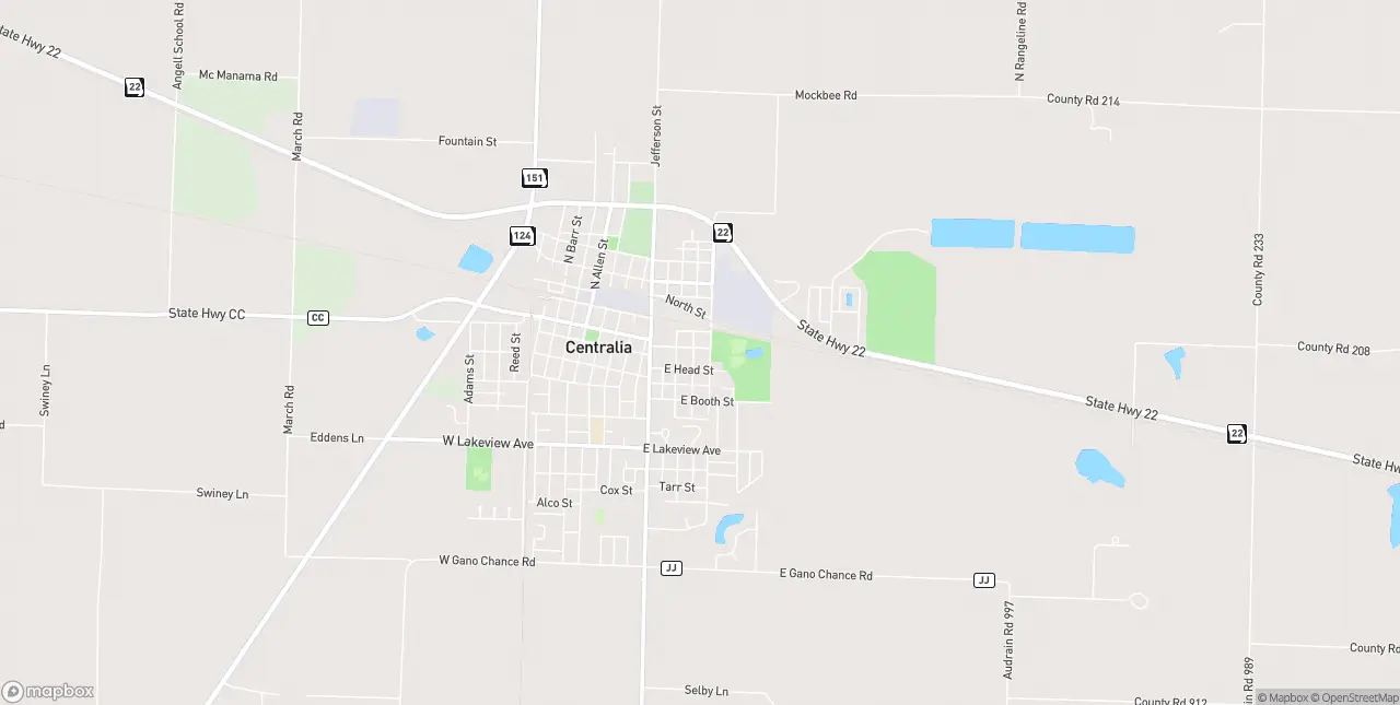 Internet in Centralia