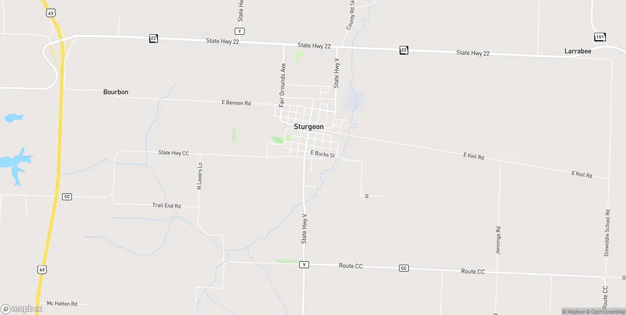 Internet in Sturgeon