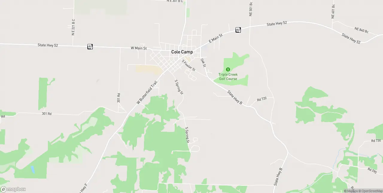 Internet in Cole Camp