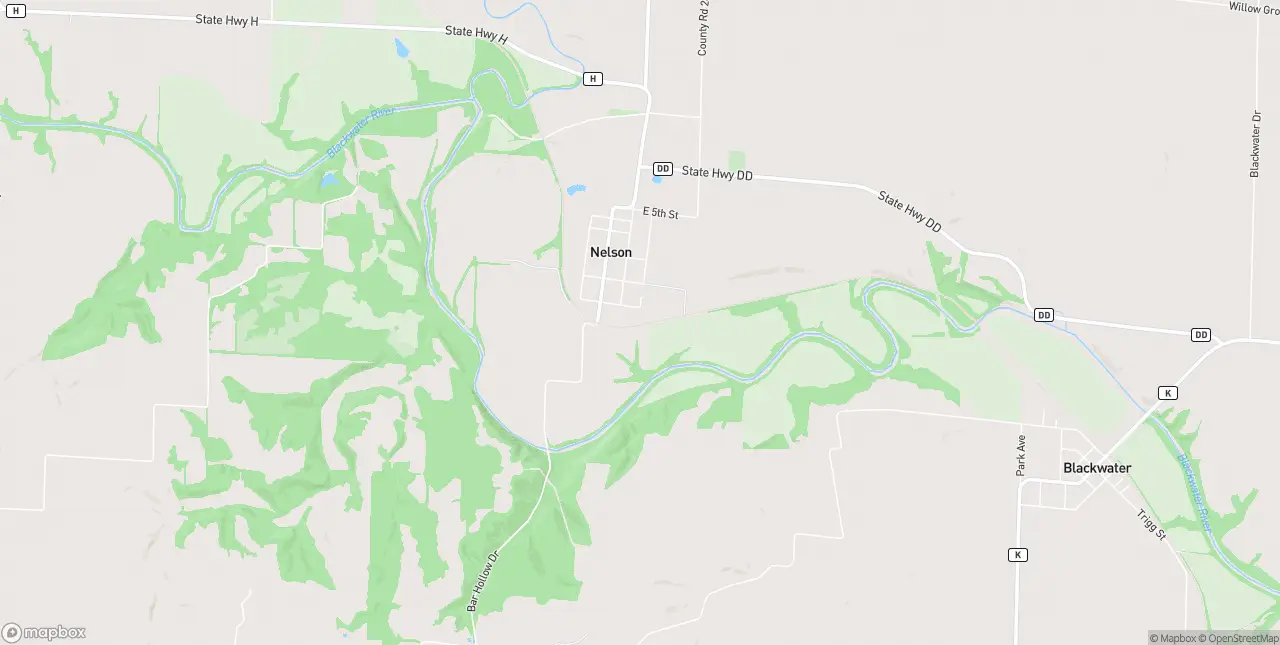Internet in Nelson