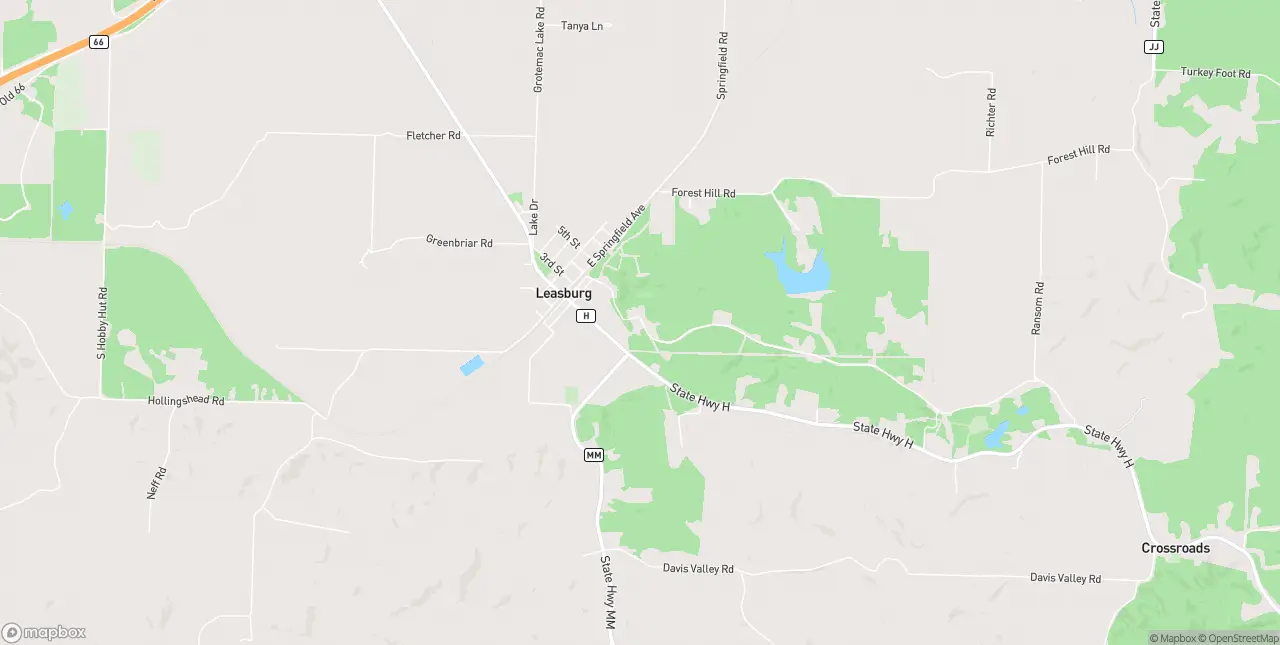 Internet in Leasburg