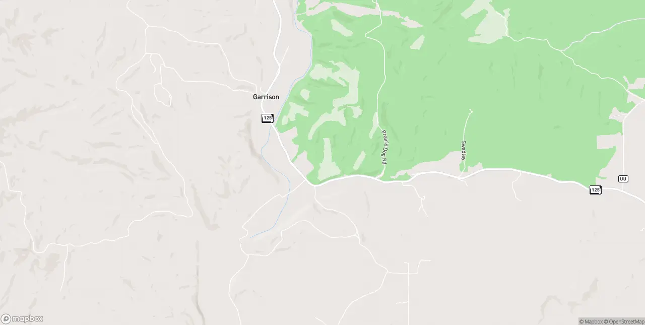 Internet in Garrison