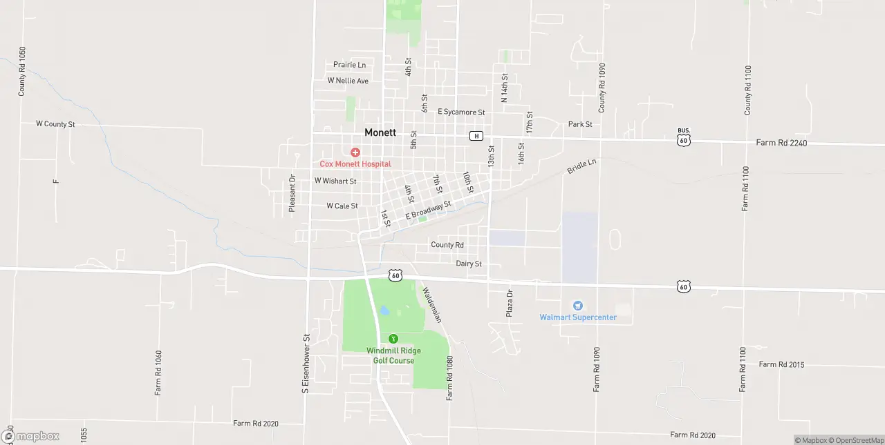 Internet in Monett