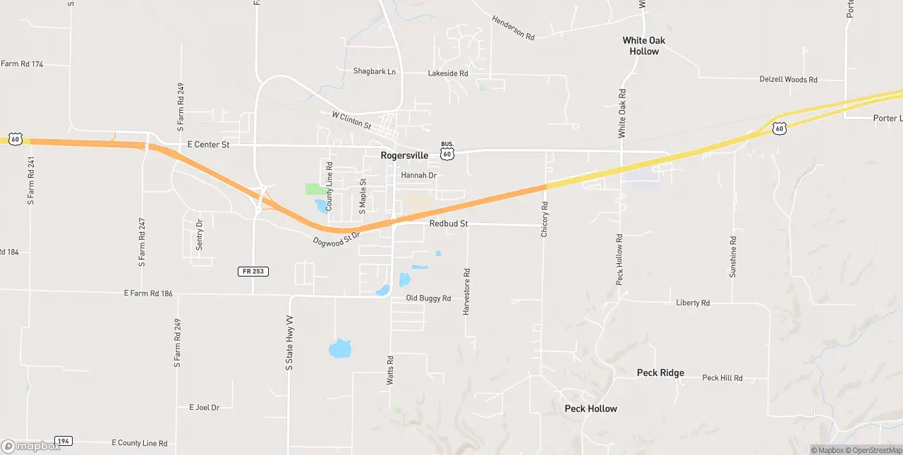 Internet in Rogersville