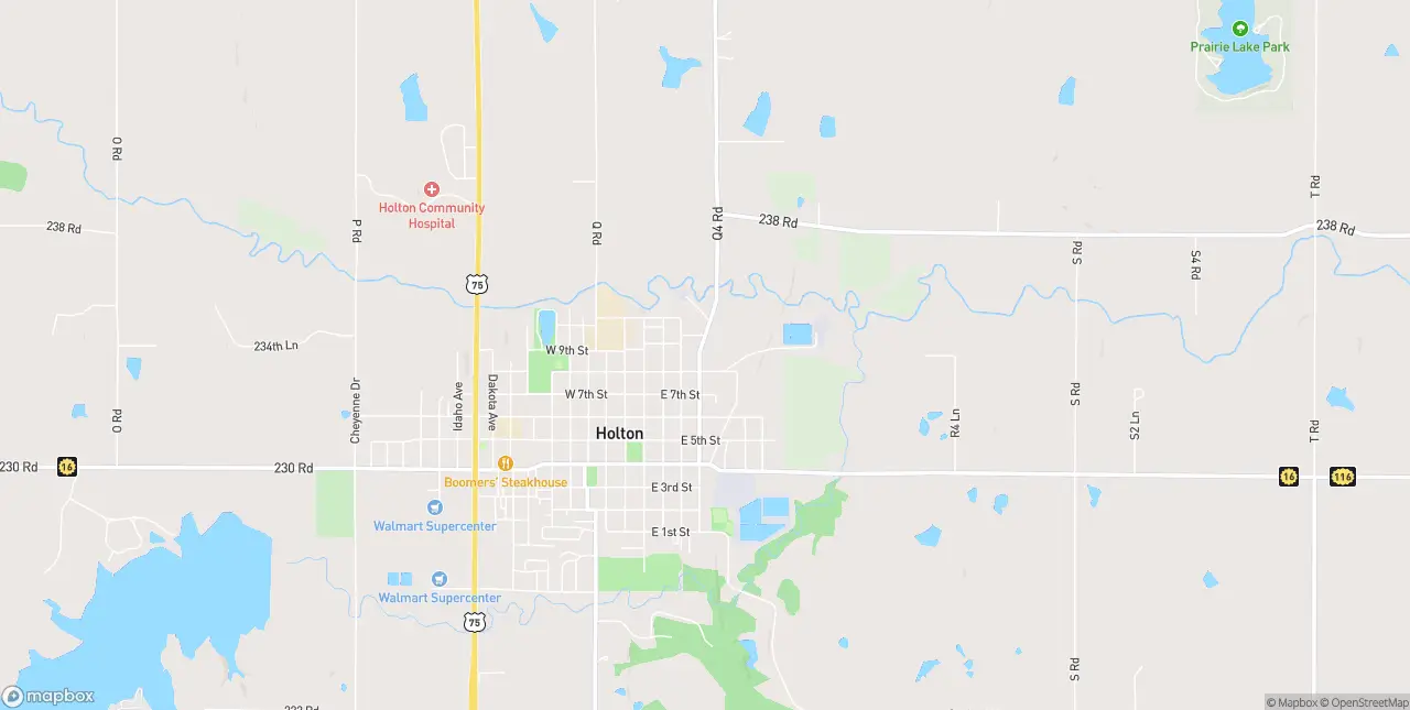 Internet in Holton