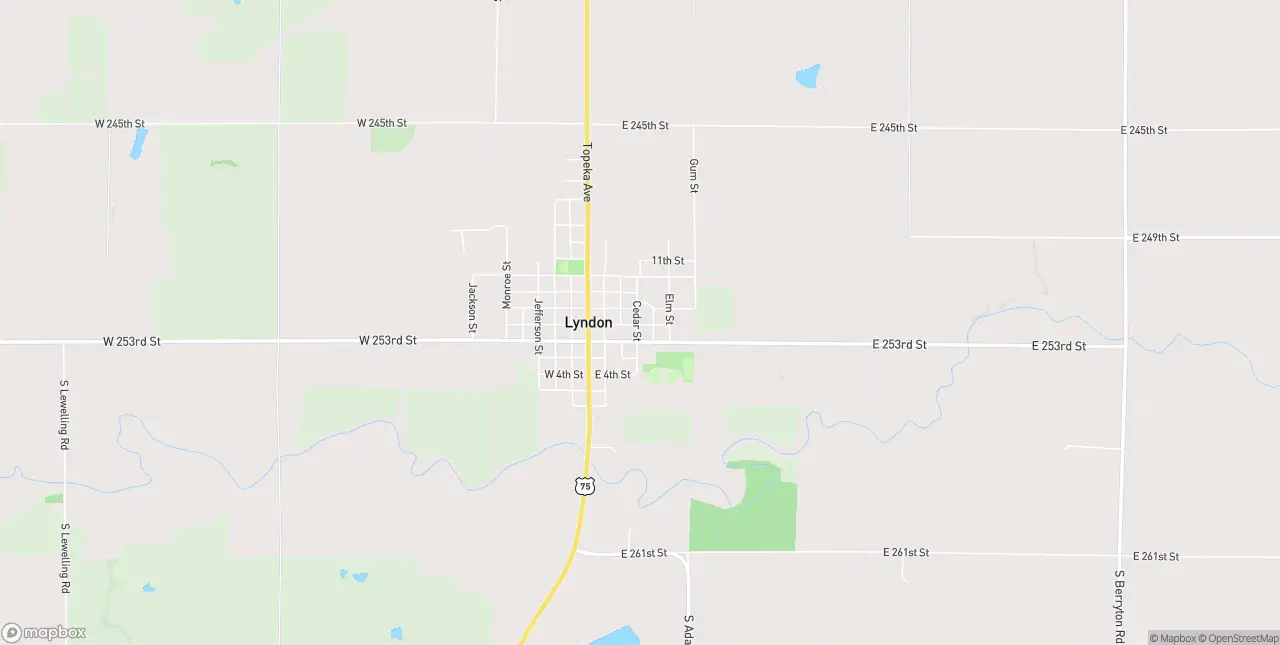 Internet in Lyndon