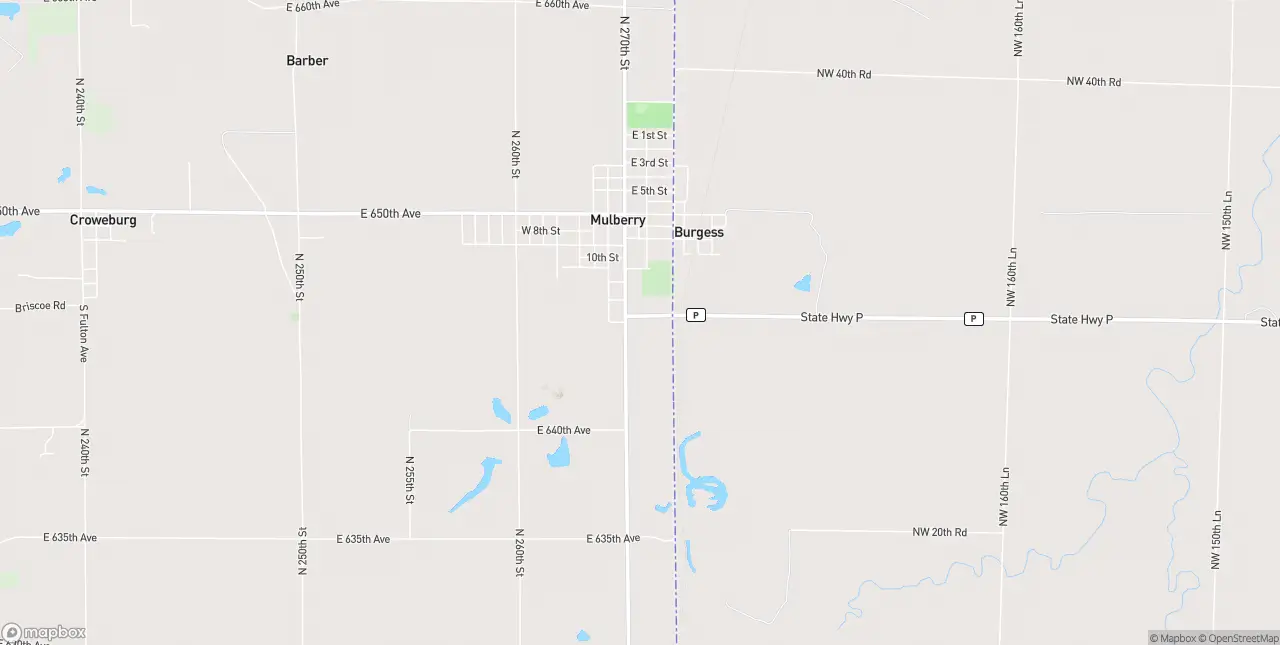 Internet in Mulberry