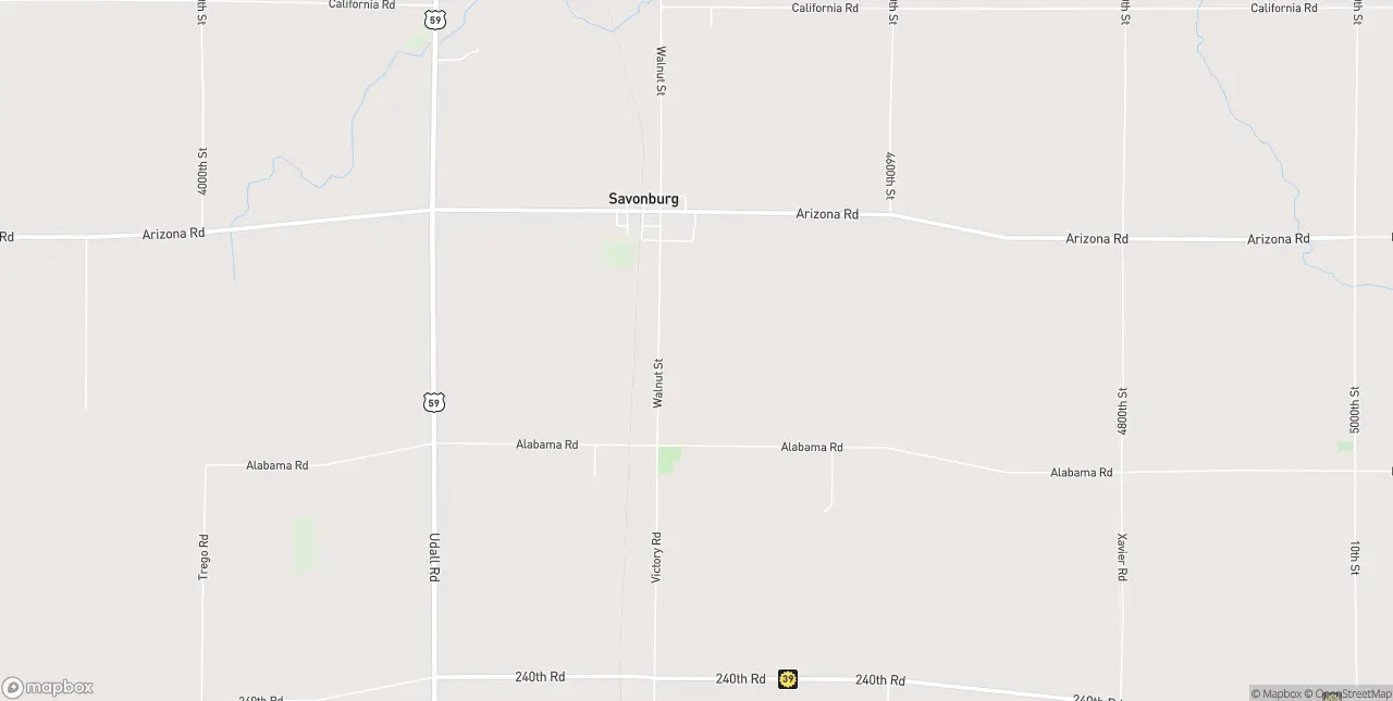 Internet in Savonburg