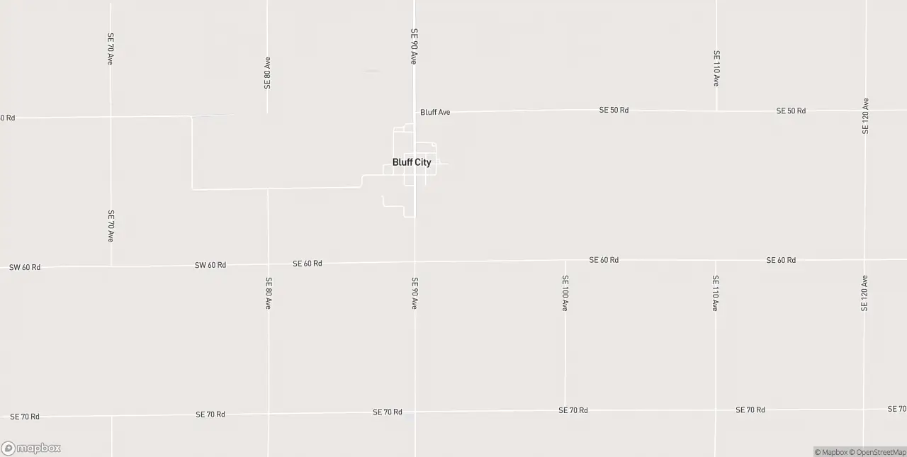 Internet in Bluff City