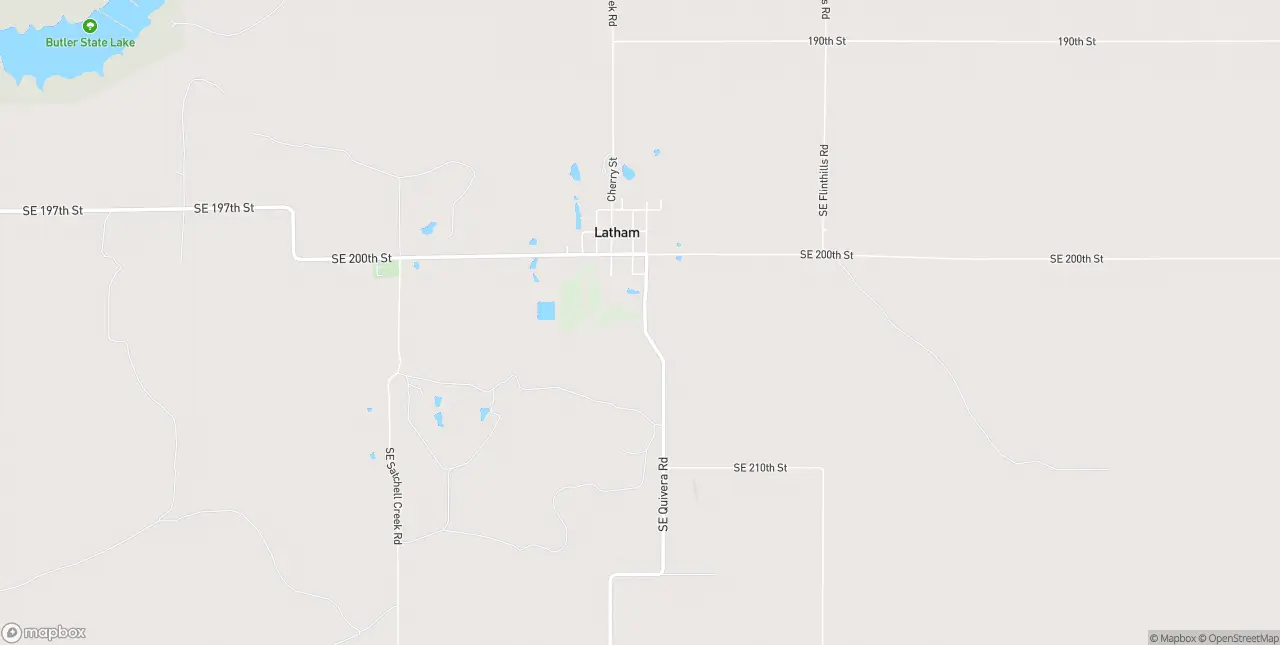Internet in Latham
