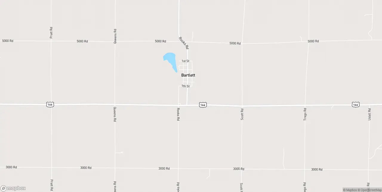 Internet in Bartlett