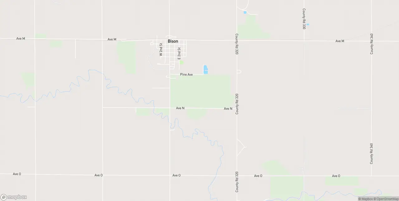 Internet in Bison