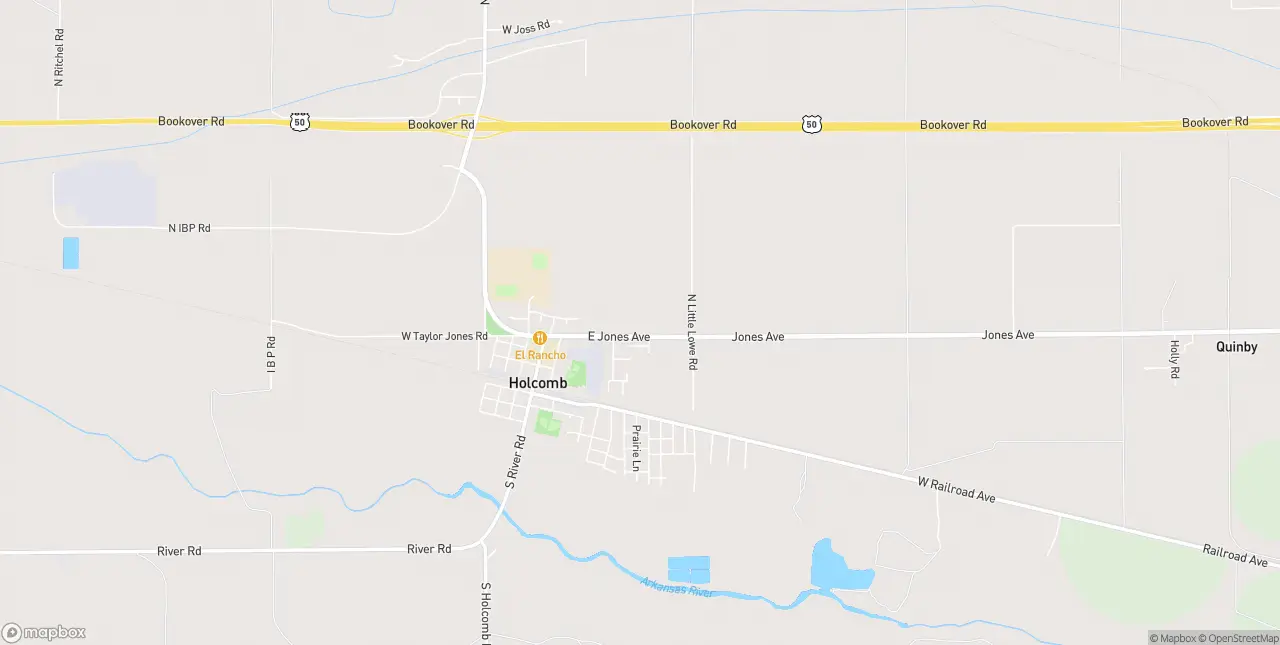 Internet in Holcomb