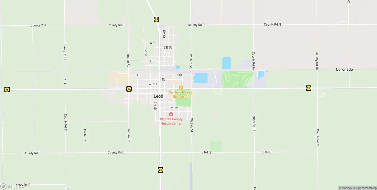 Internet in Leoti