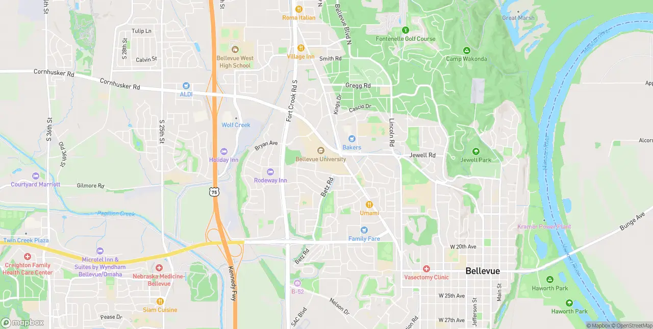 Internet in Bellevue