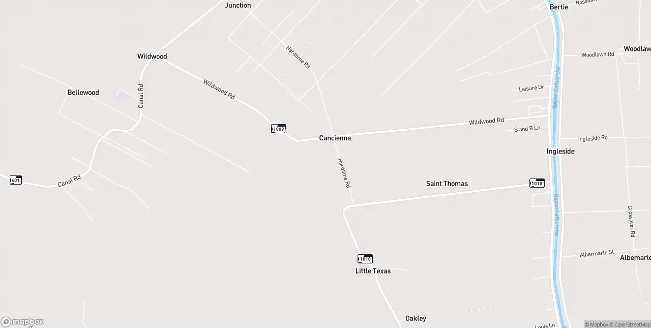 Internet in Napoleonville