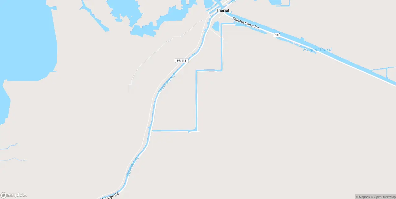 Internet in Theriot