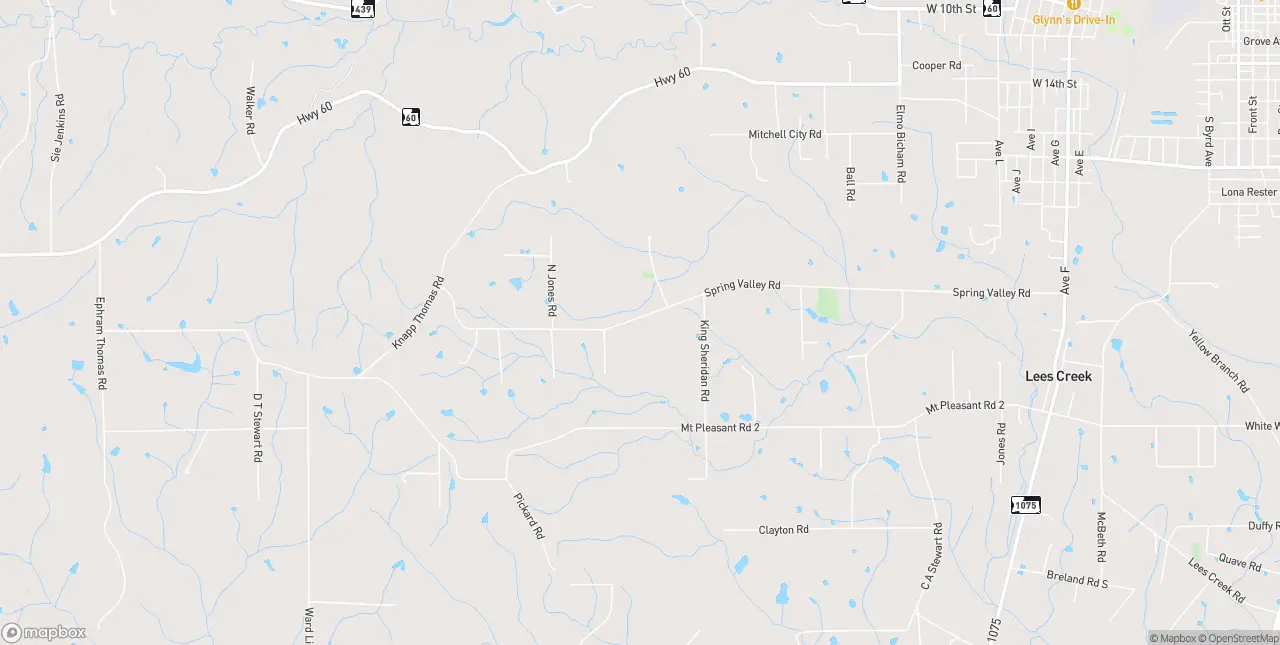 Internet in Bogalusa