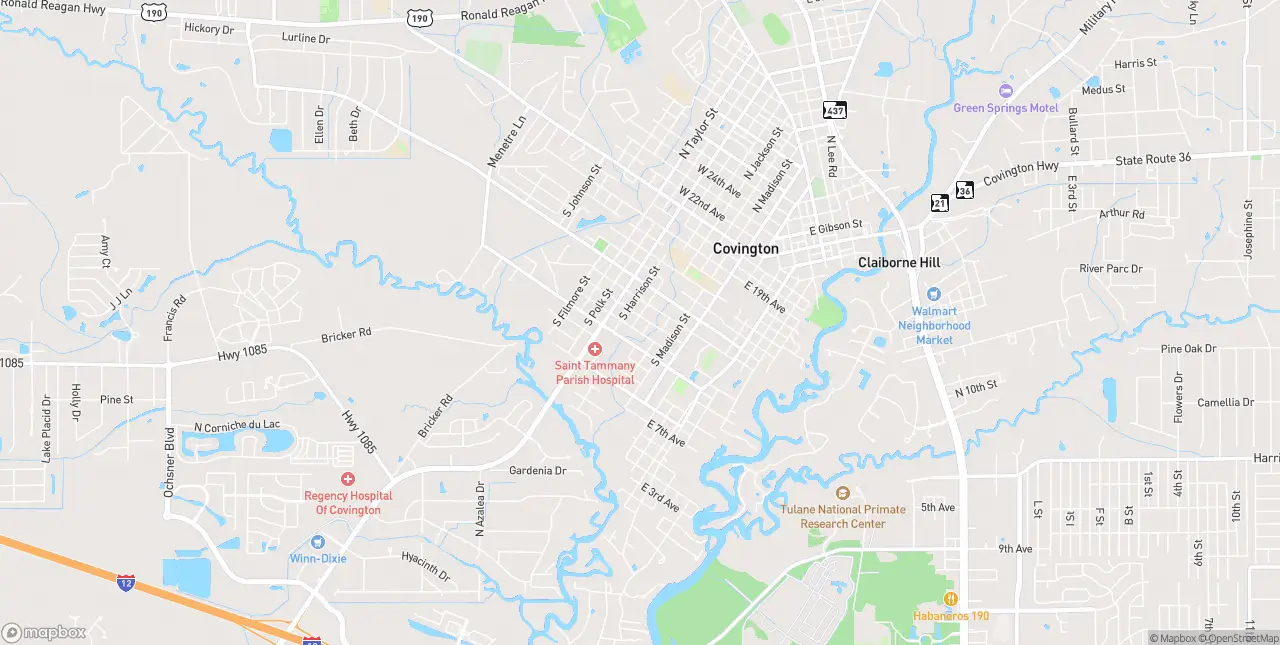 Internet in Covington