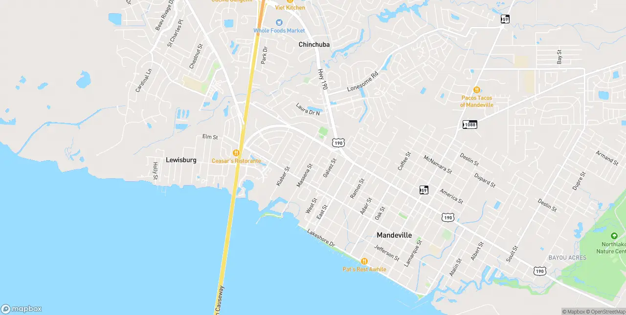 Internet in Mandeville