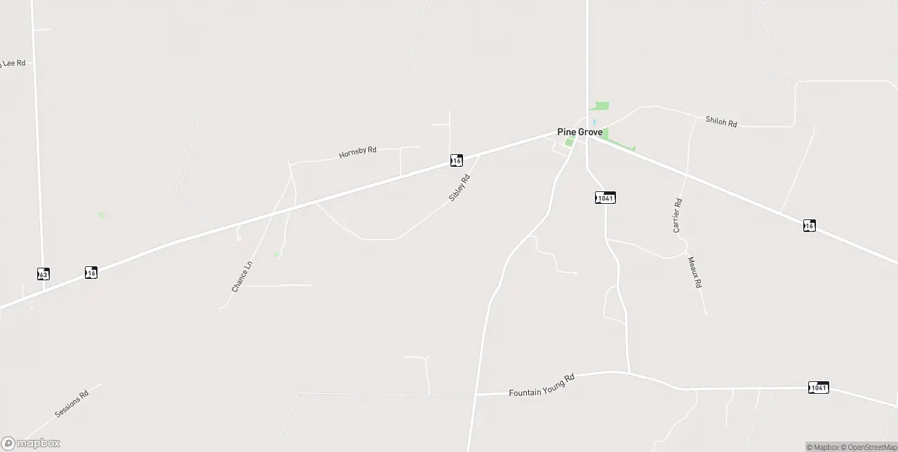 Internet in Pine Grove