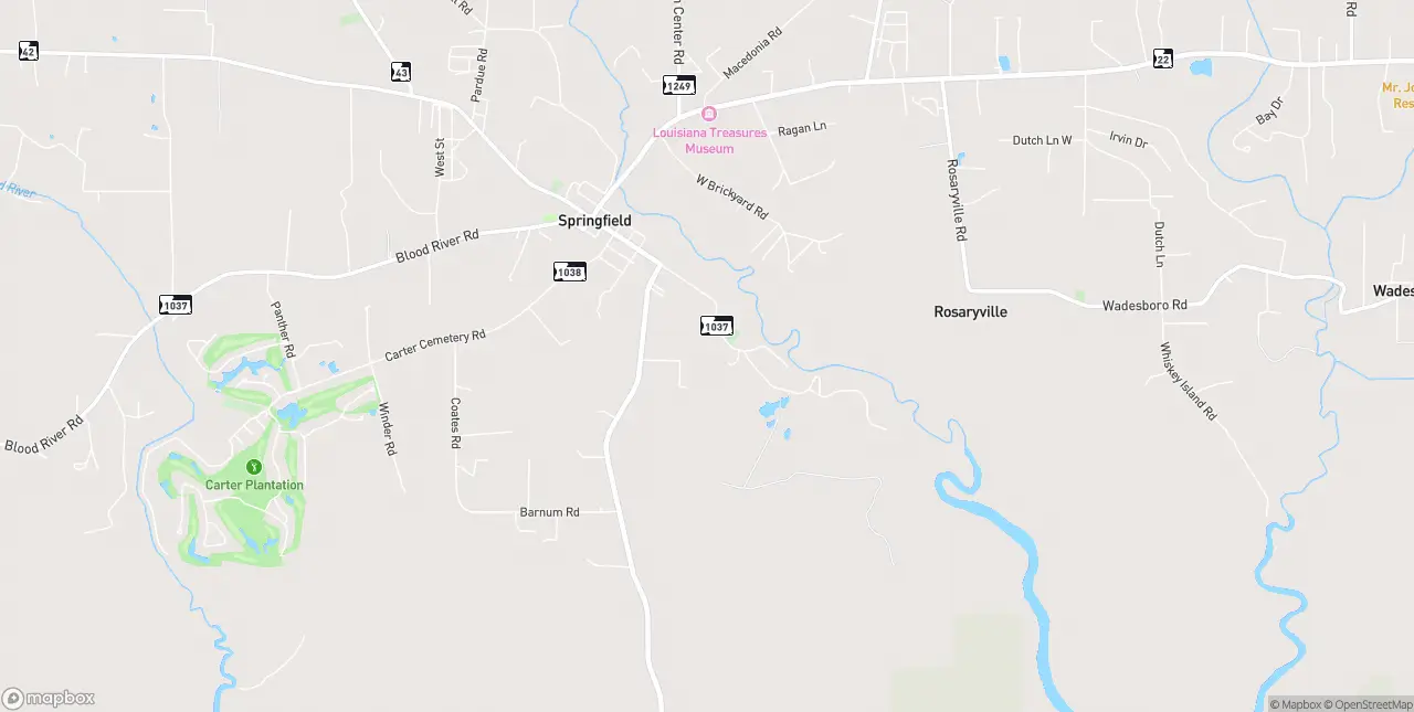 Internet in Springfield