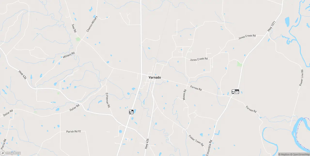 Internet in Varnado