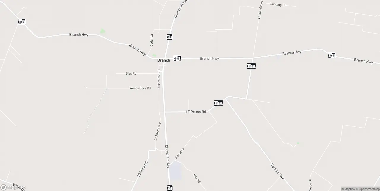 Internet in Branch