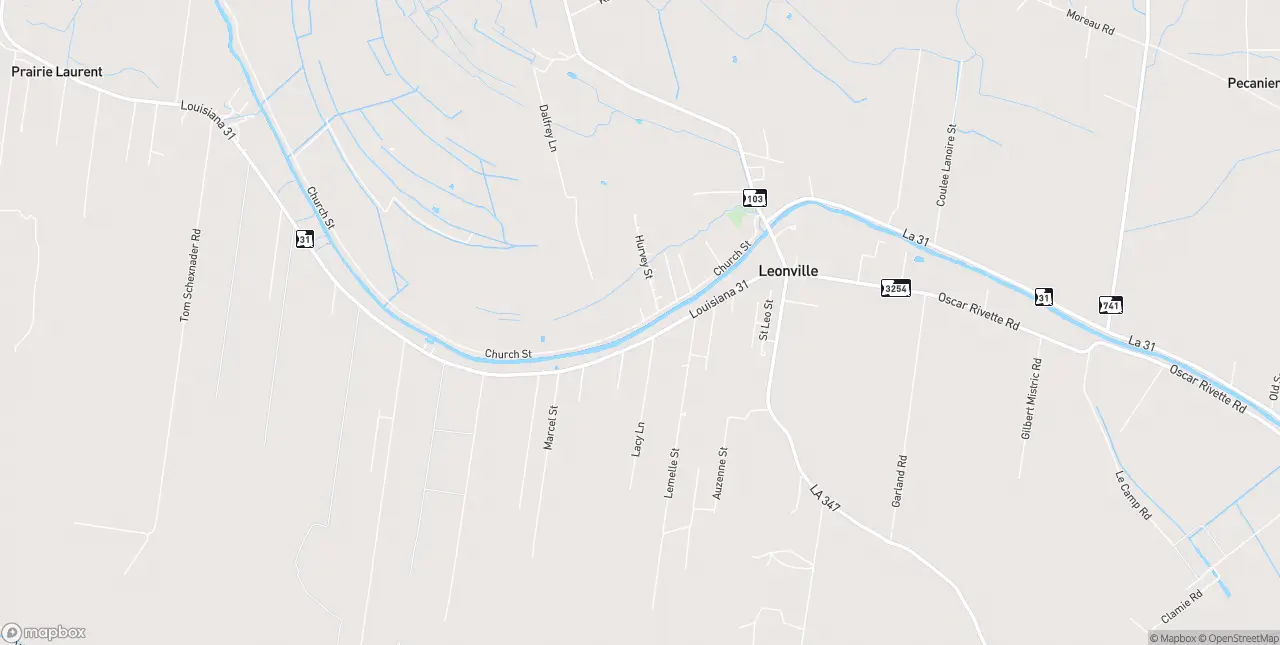 Internet in Leonville