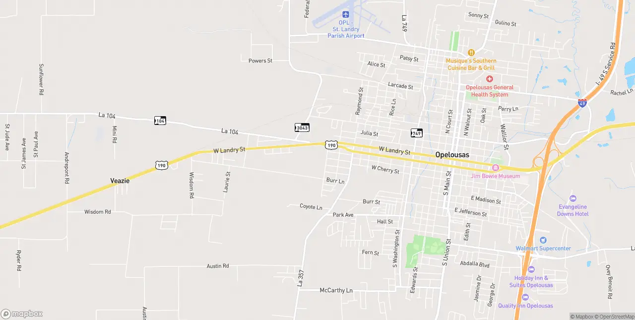 Internet in Opelousas