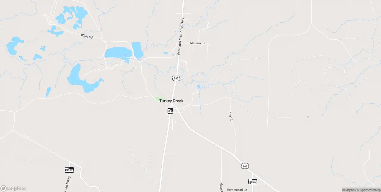 Internet in Turkey Creek