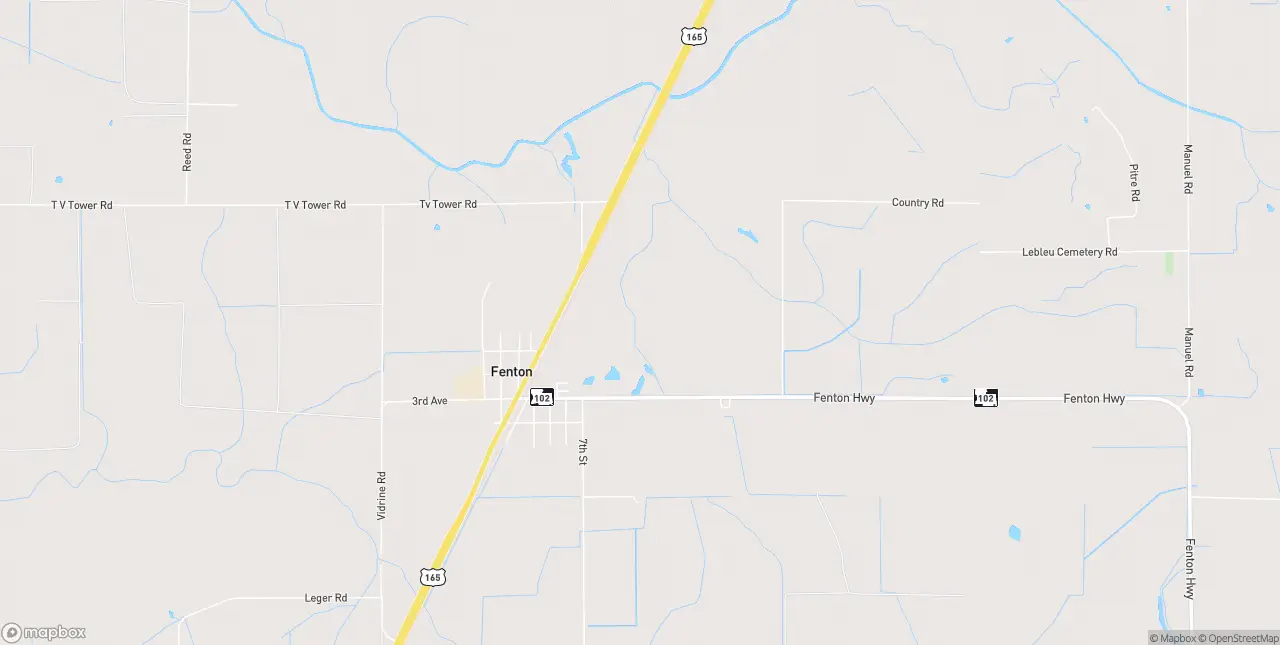 Internet in Fenton