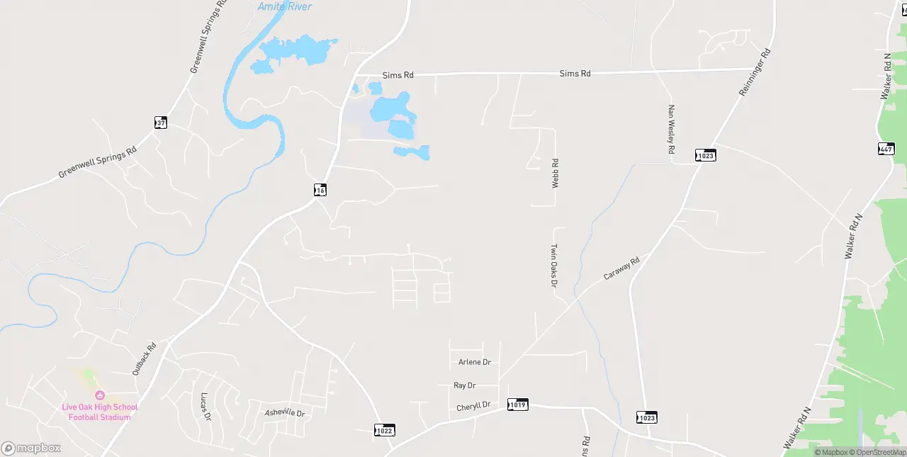 Internet in Denham Springs