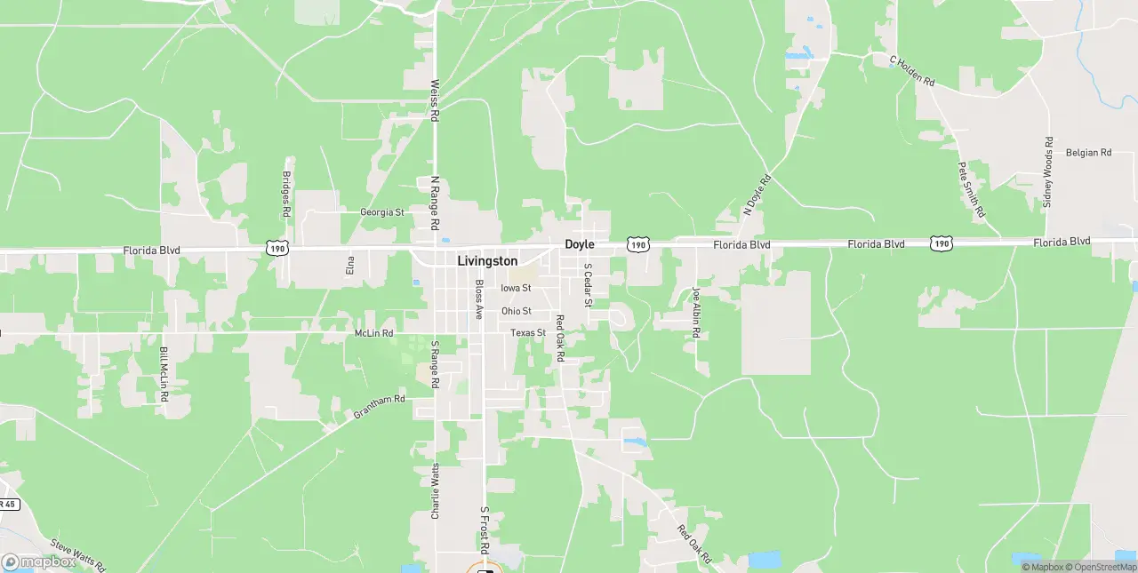 Internet in Livingston
