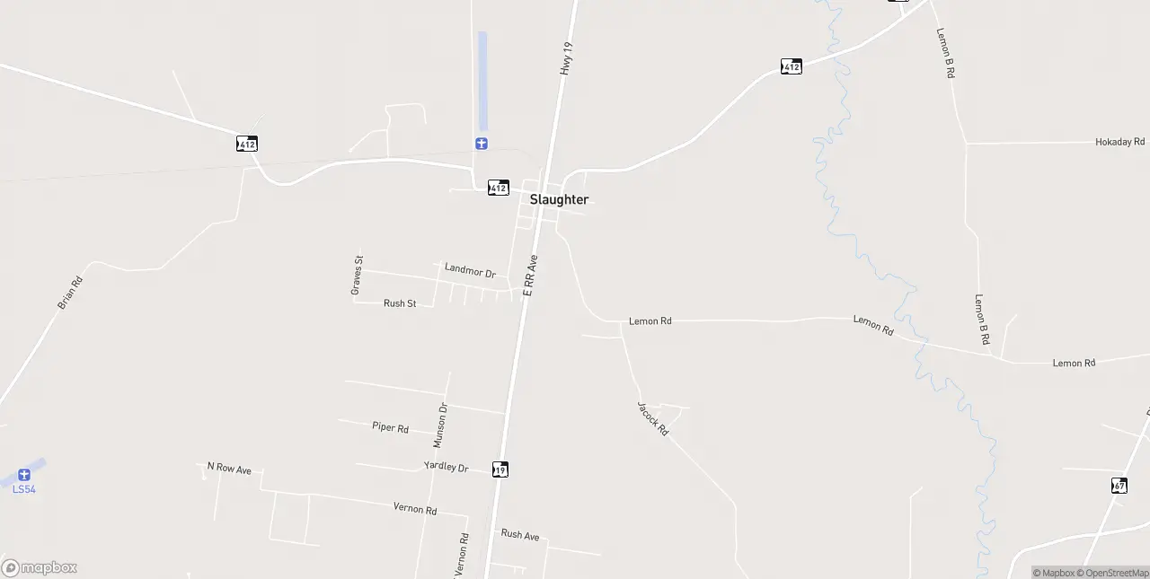 Internet in Slaughter