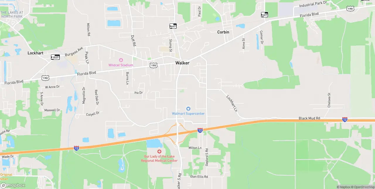 Internet in Walker