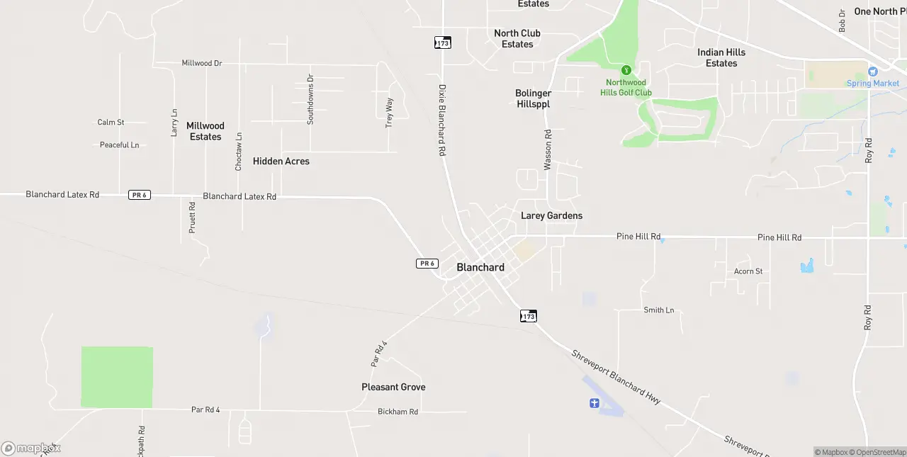 Internet in Blanchard