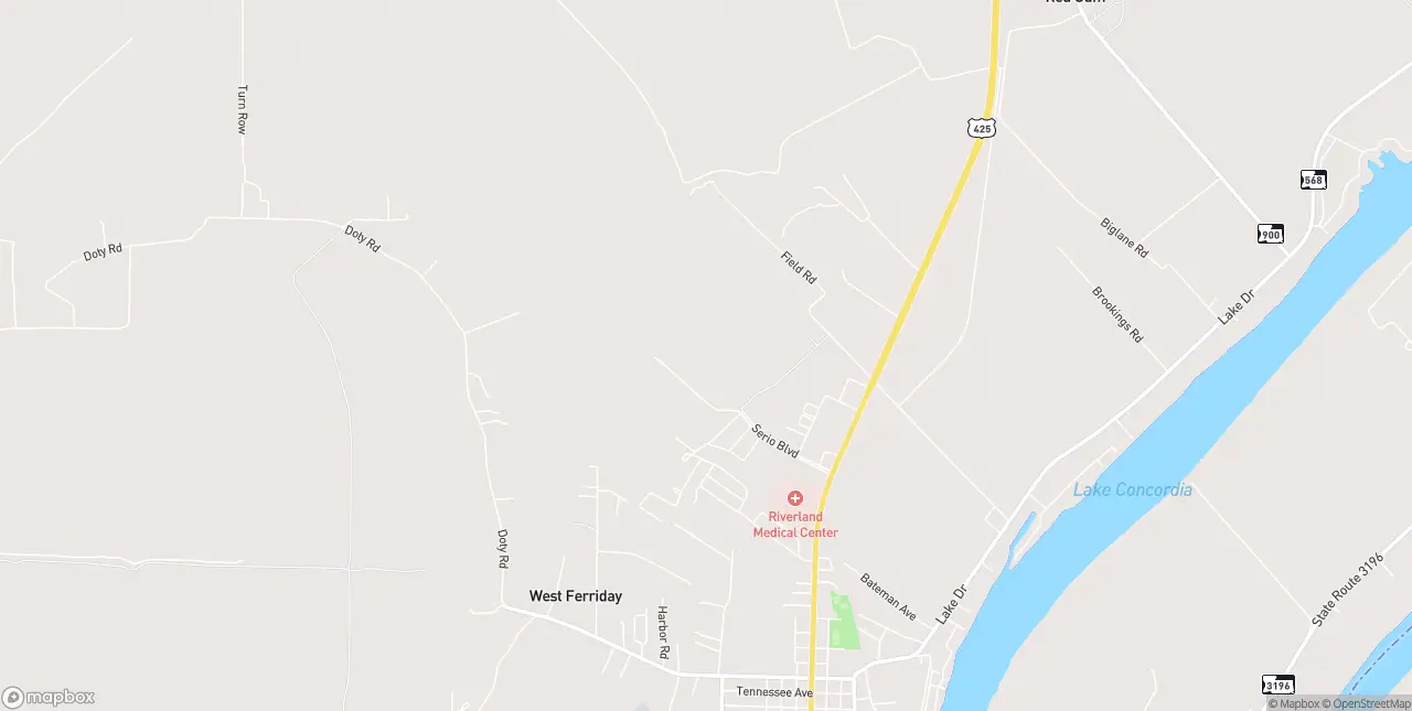 Internet in Ferriday