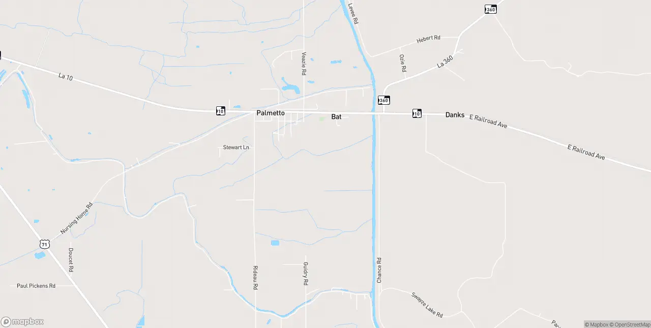 Internet in Palmetto