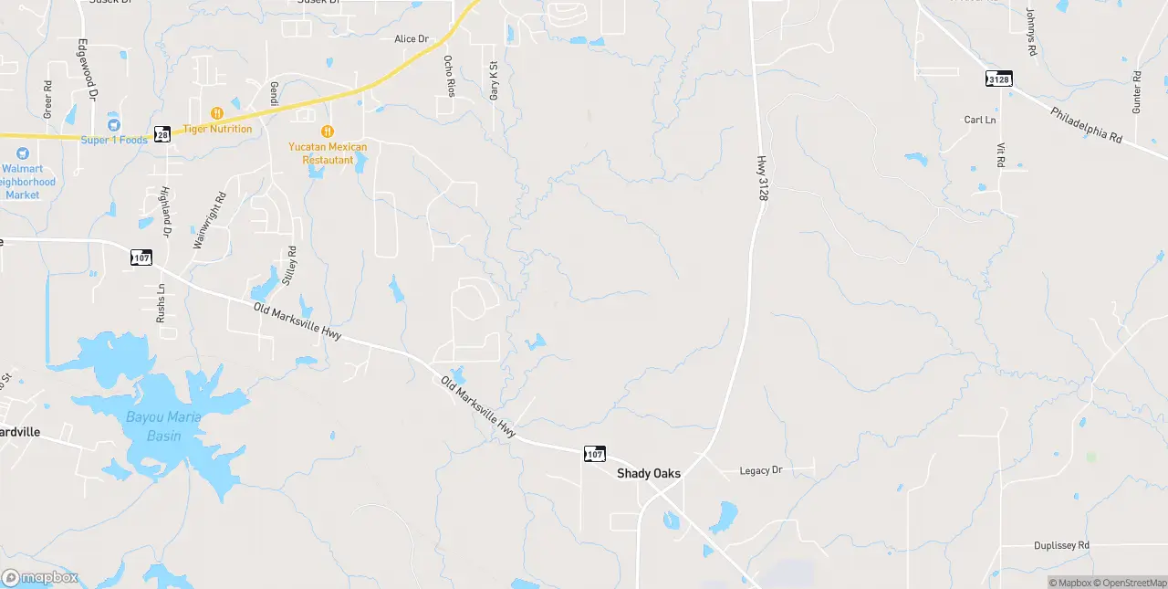Internet in Pineville