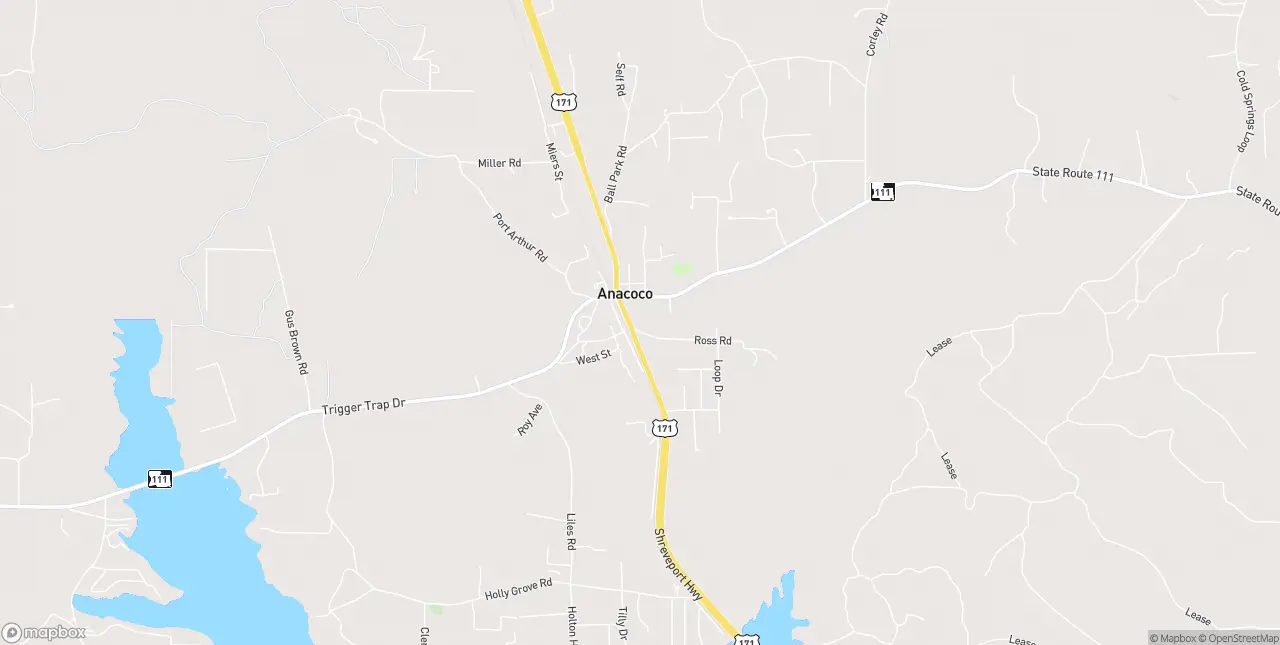 Internet in Anacoco