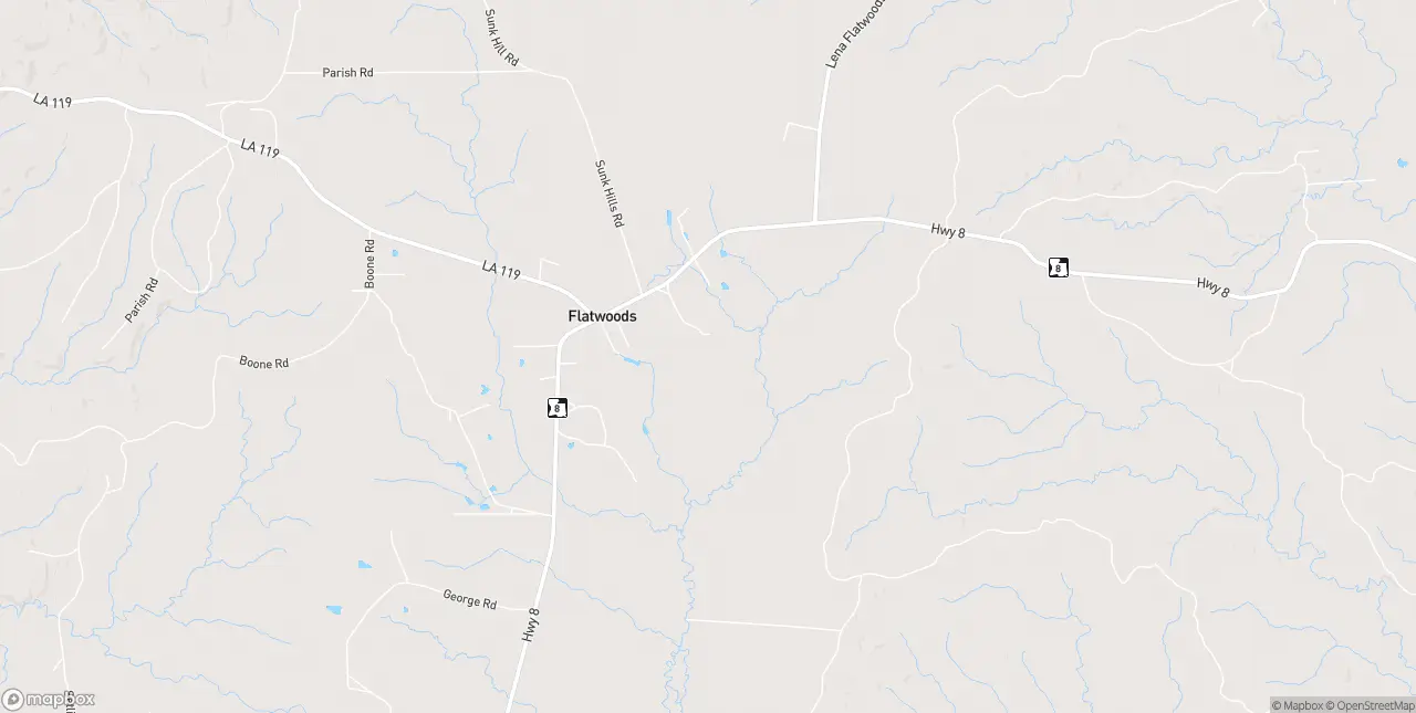 Internet in Flatwoods