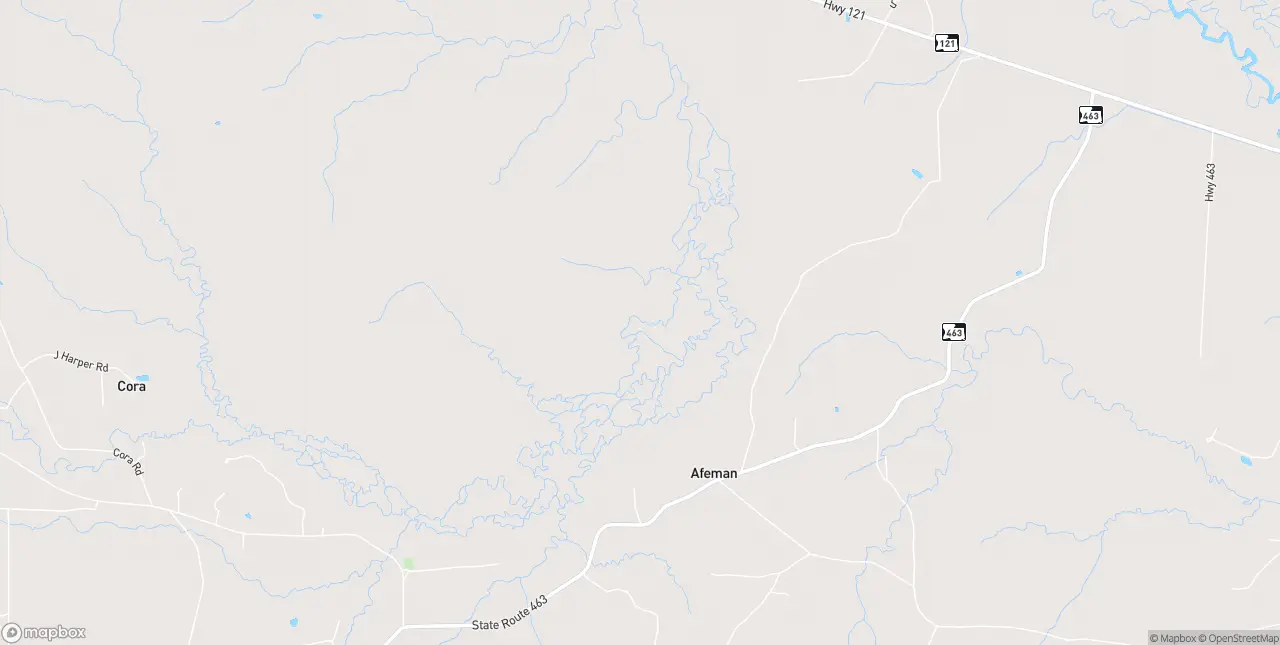 Internet in Hineston