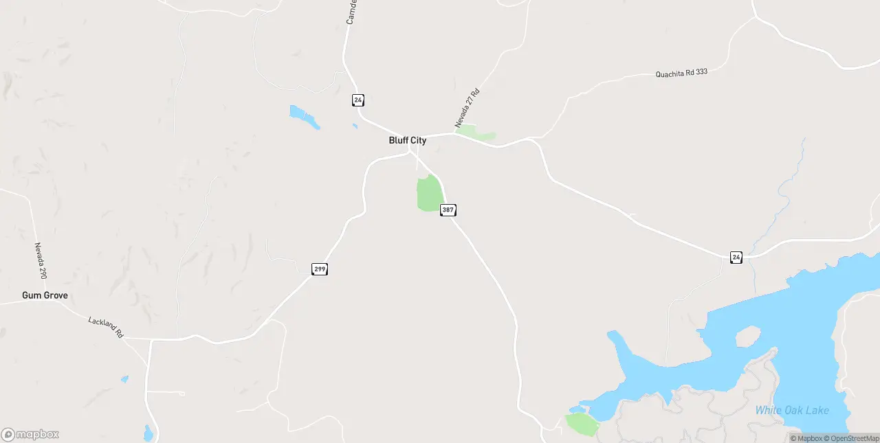 Internet in Bluff City