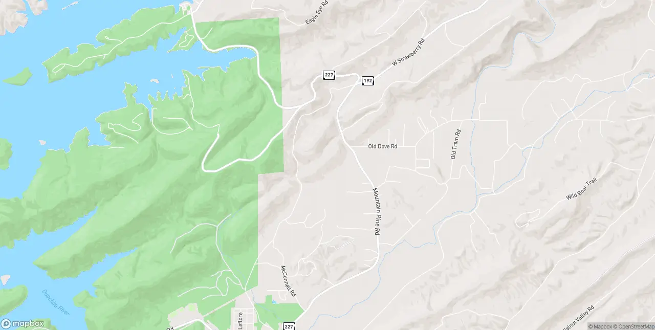 Internet in Mountain Pine